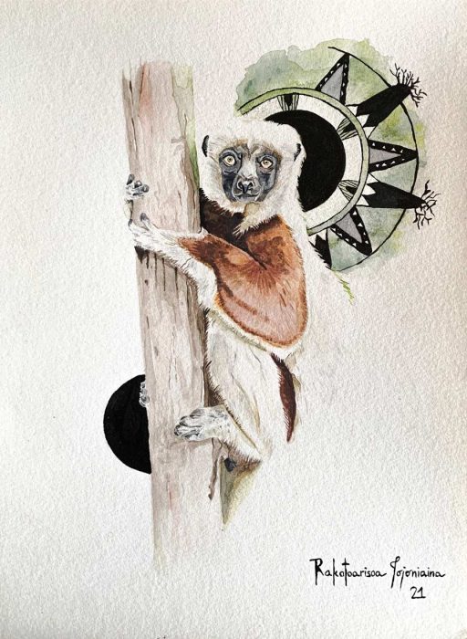 Tojoniaina Rakotoarisoa Artiste Plasticien Peintre Dessinateur Illustrateur Madagascar